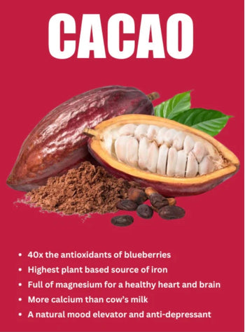 choco_29.jpg